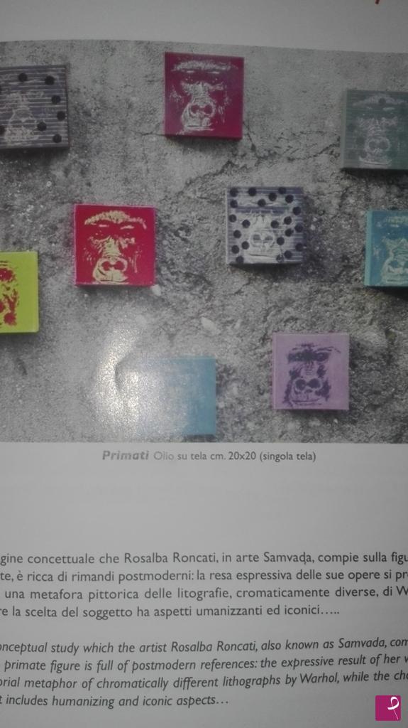quadri in vendita online - installazione serie primati & origini