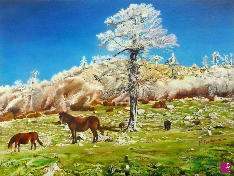 quadri in vendita online - inverno sul Pollino