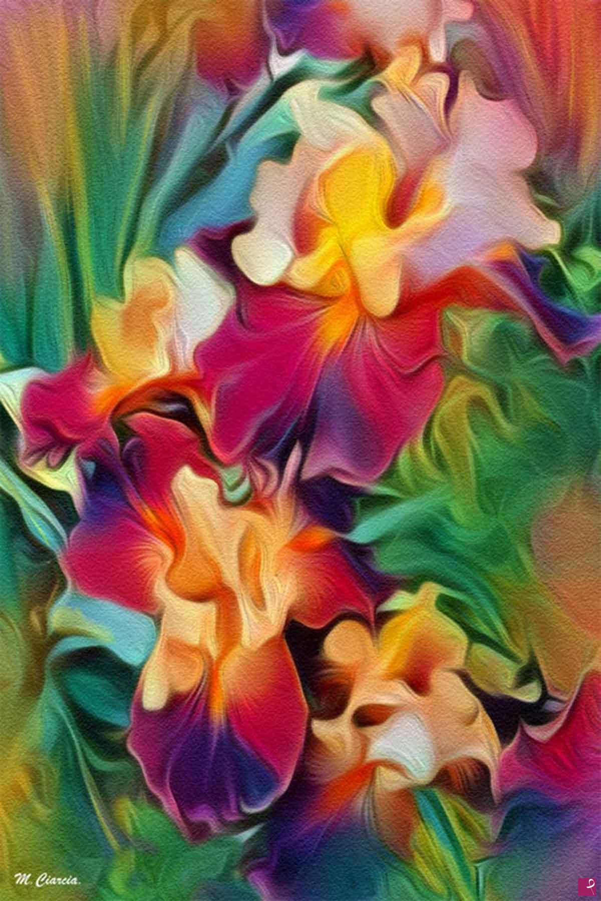 quadri in vendita online - Iris - Stampa Fine Art su Tela