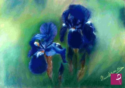 quadri in vendita online - "Iris"
