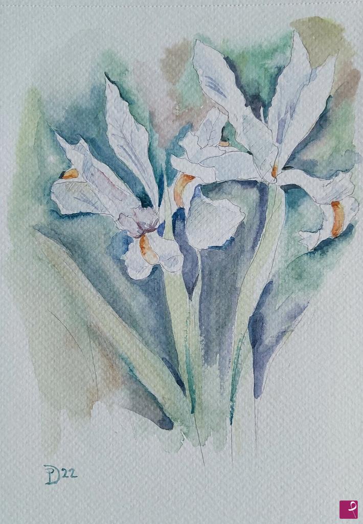 quadri in vendita online - Iris bianchi