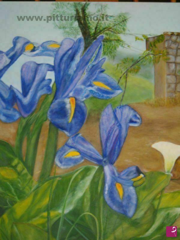 quadri in vendita online - Iris in un campo