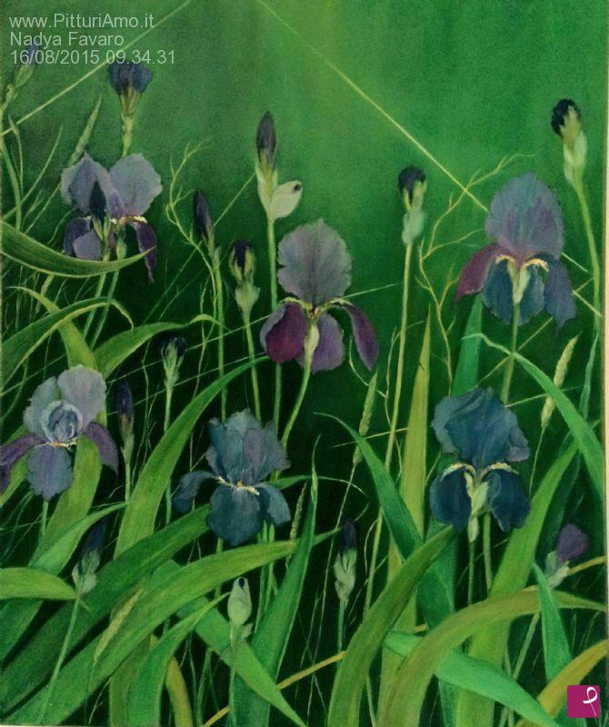 quadri in vendita online - Iris viola