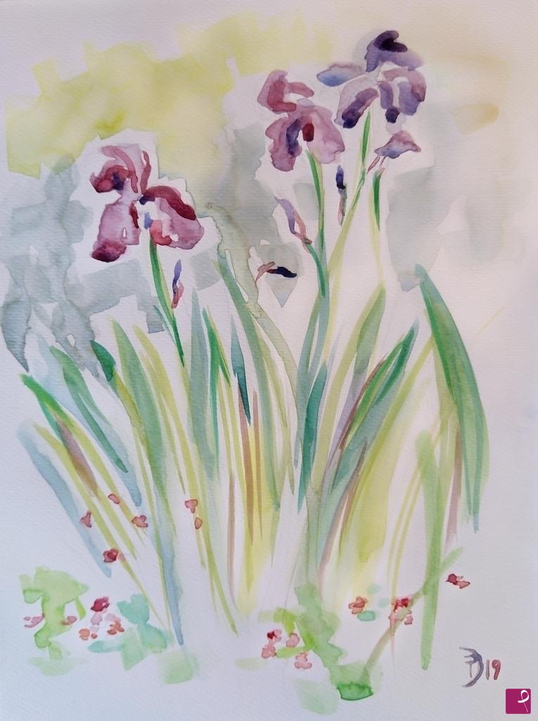 quadri in vendita online - Iris viola al Parco Nord