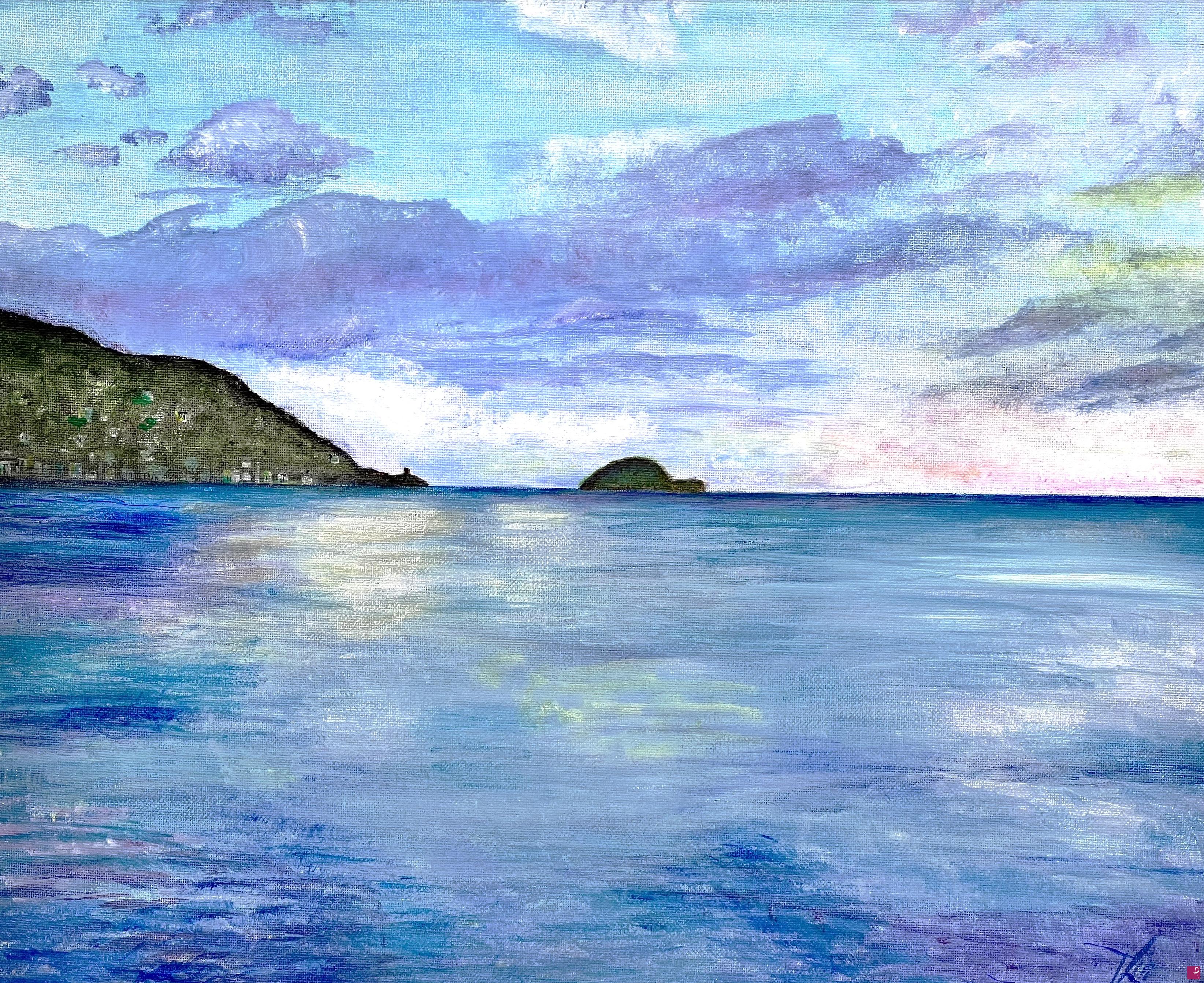 quadri in vendita online - Isola Gallinara