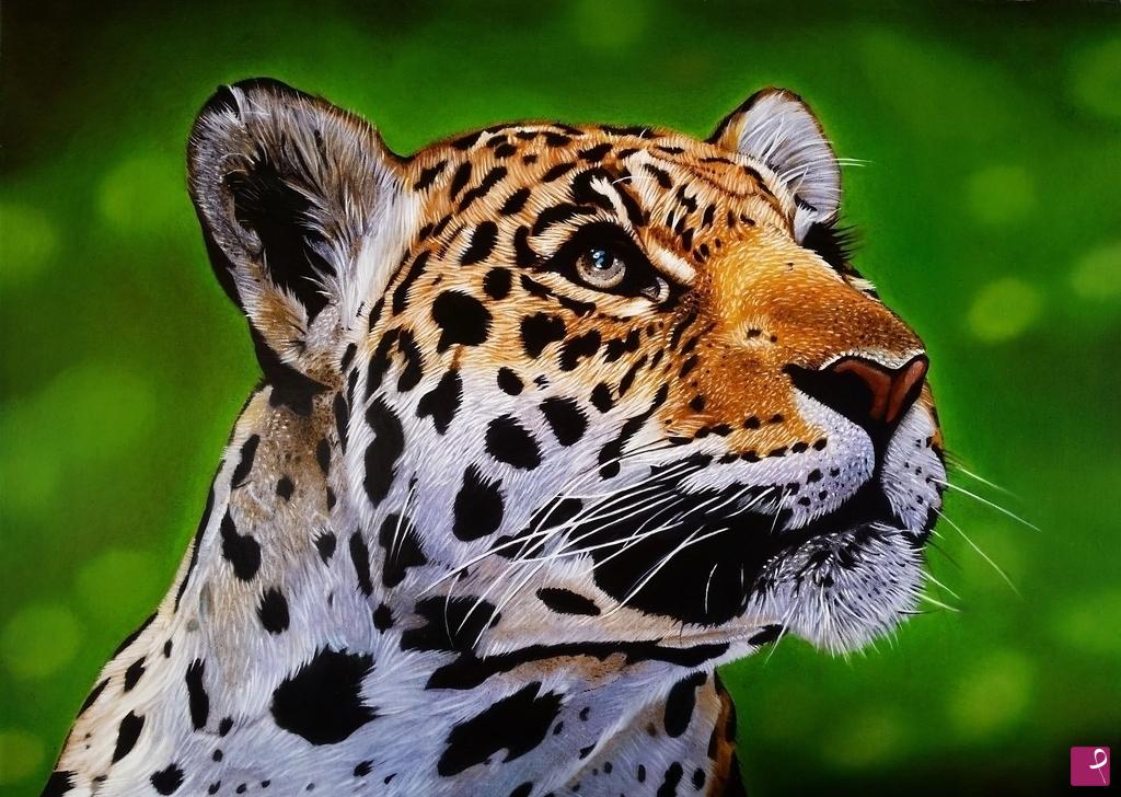 quadri in vendita online - "JAGUAR II"