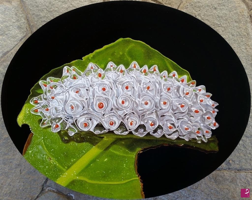 quadri in vendita online - "Jewel Caterpillar"