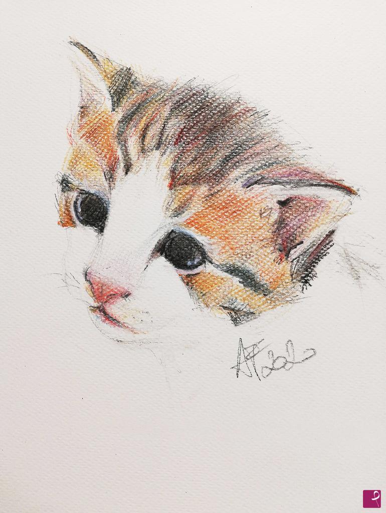 quadri in vendita online - Kitten