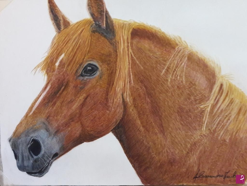 quadri in vendita online - L 'AMICO CAVALLO 