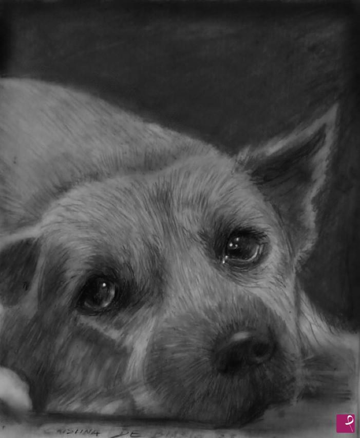 quadri in vendita online - l ,amore  di  un   cane    è  per   sempre.....