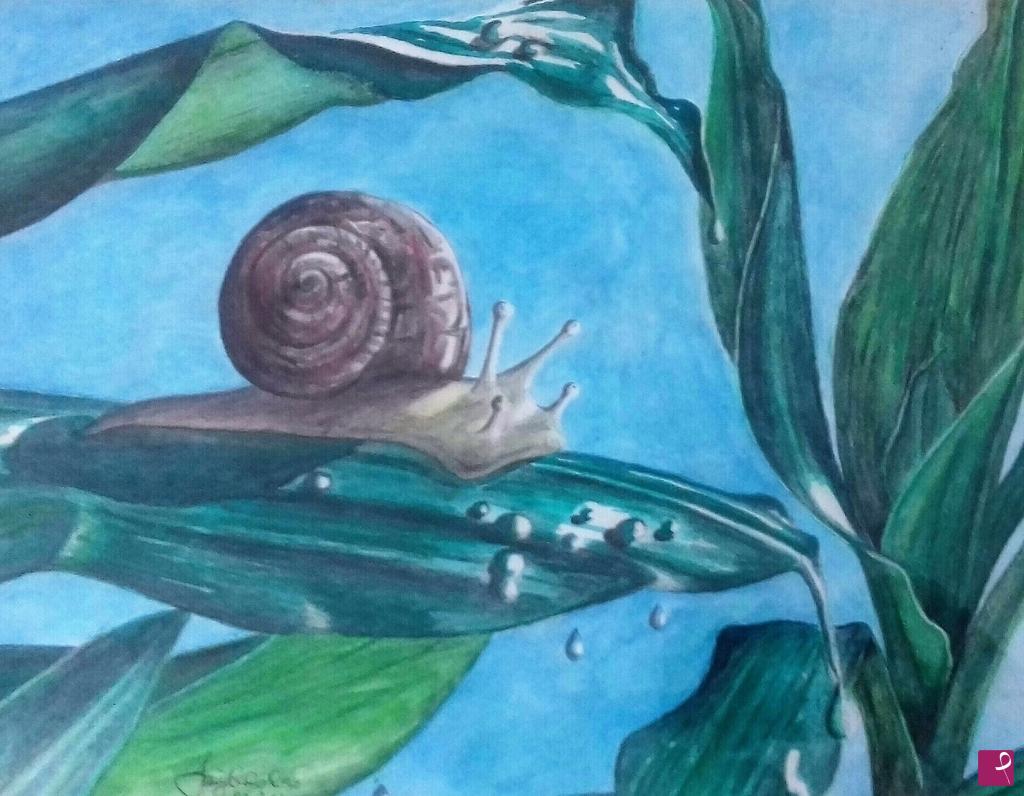 quadri in vendita online - La Chiocciola