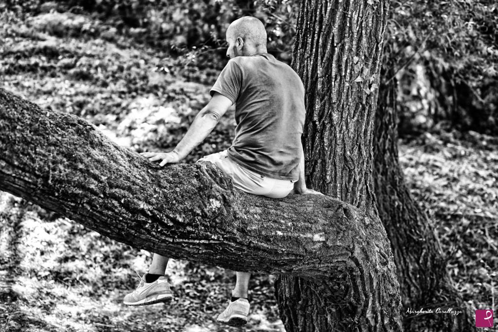 quadri in vendita online - "La differenza tra arrampicarsi sugli specchi e arrampicarsi su di un albero, è che sui primi scivoli rovinosamente a terra, sul secondo affronti con coraggio la vita"