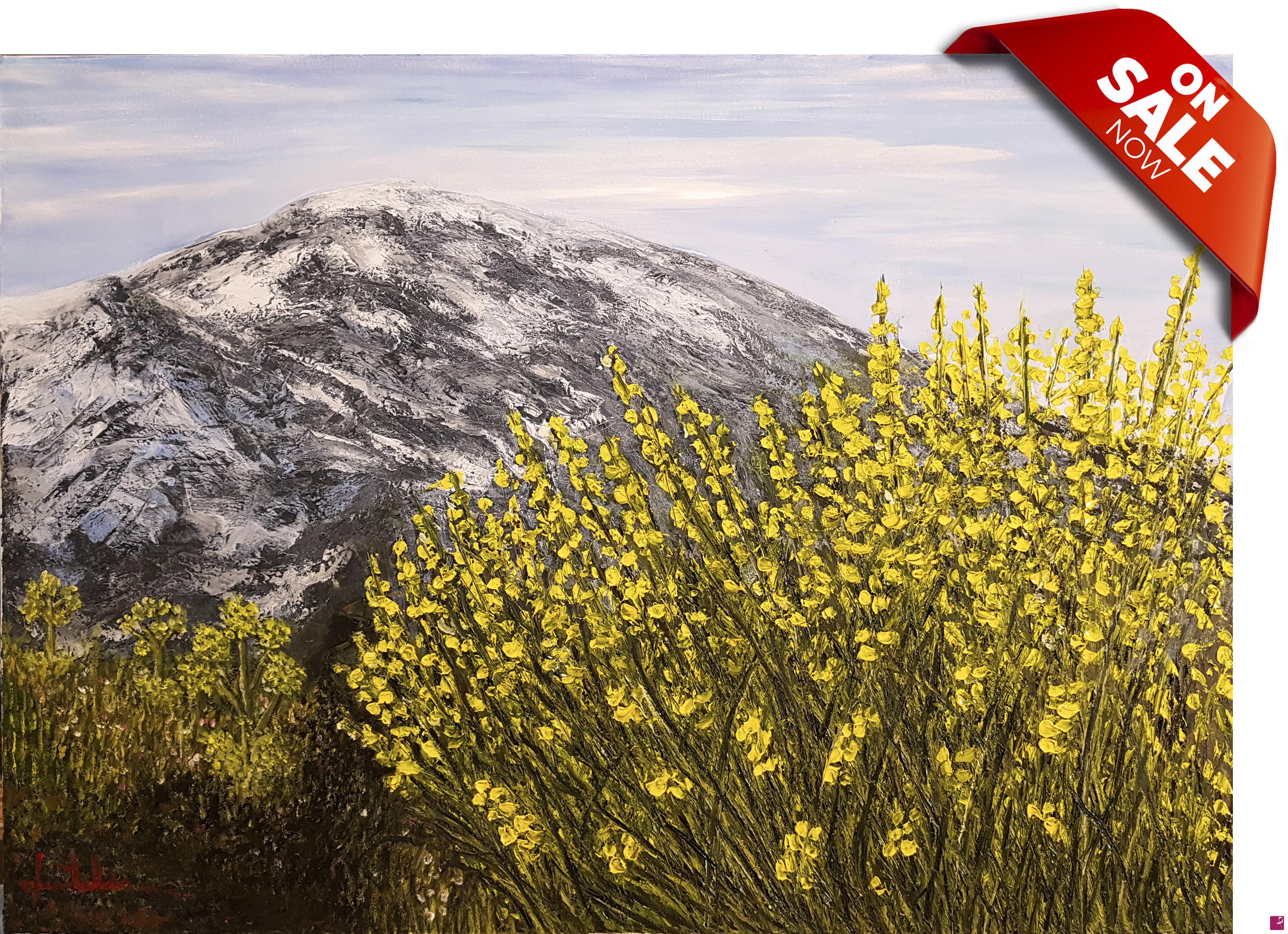 quadri in vendita online - la ginestra dell'etna * IN OFFERTA *