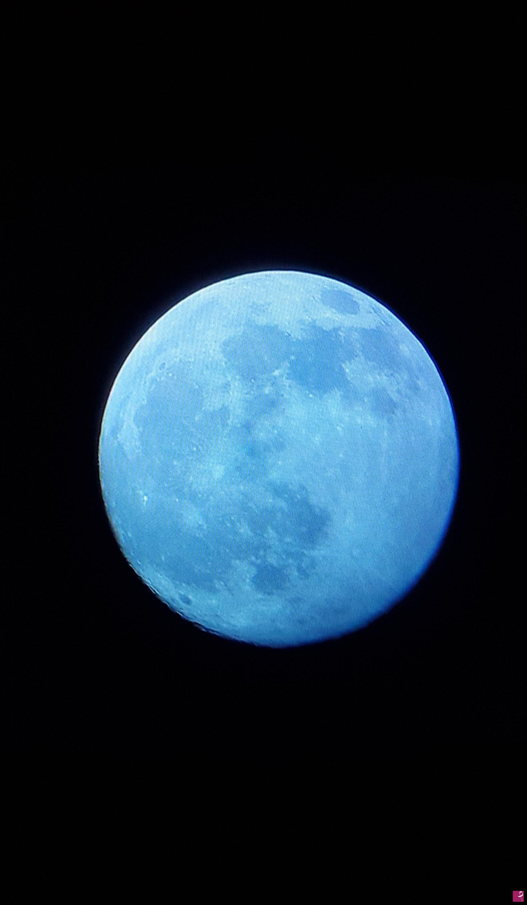 quadri in vendita online - La Luna