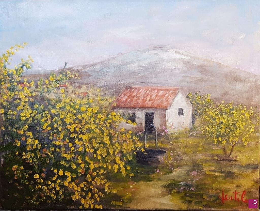quadri in vendita online - la mimosa dell'Etna