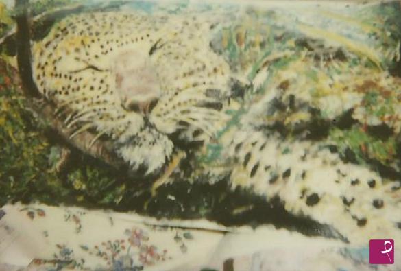 quadri in vendita online - La natura selvaggia 