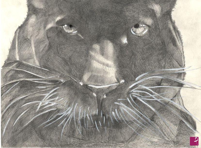 quadri in vendita online - la panther noir