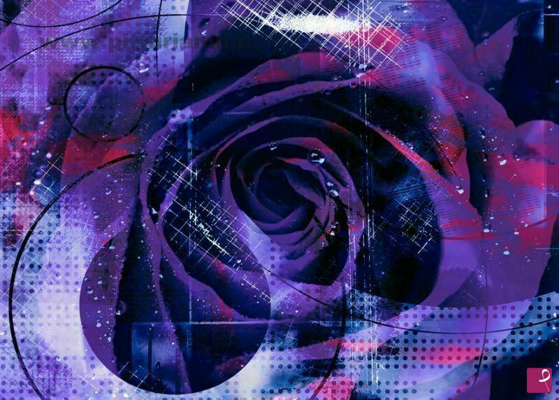 quadri in vendita online - La Rosa