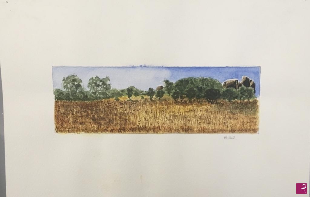 quadri in vendita online - La savana
