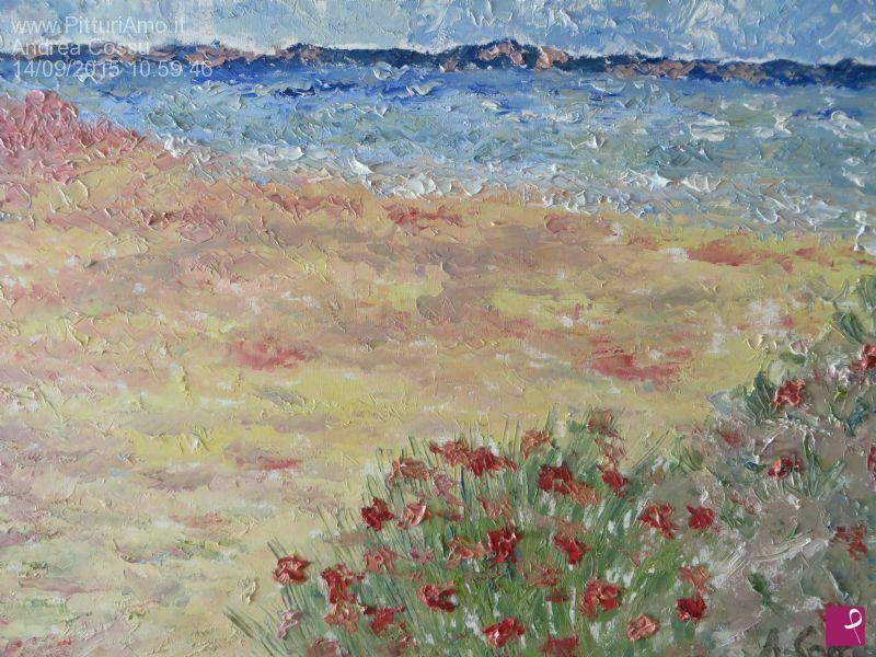 quadri in vendita online - La spiaggia rosa a Budelli ( La Maddalena )