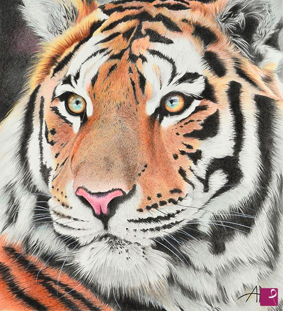 quadri in vendita online - La tigre