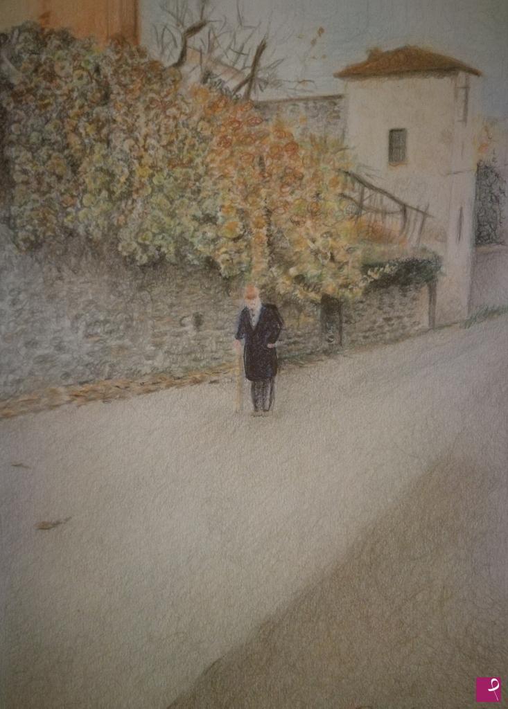 quadri in vendita online - La vite in autunno sul vecchio muro di casa mia 