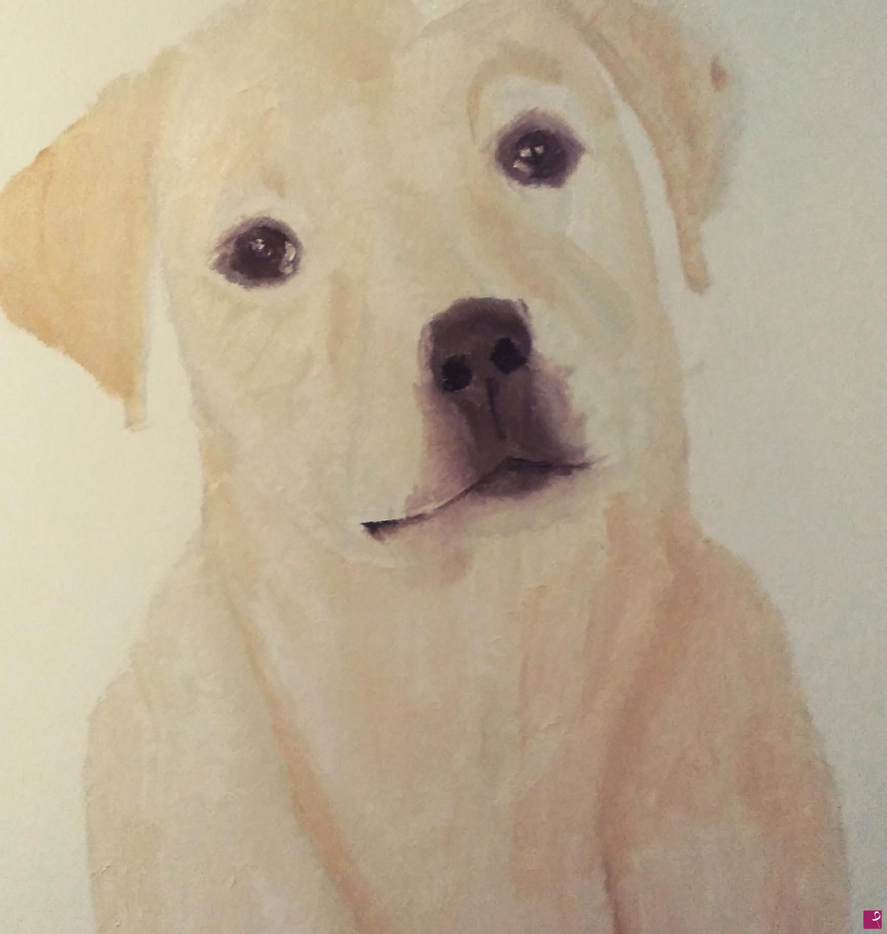 quadri in vendita online - Labrador 