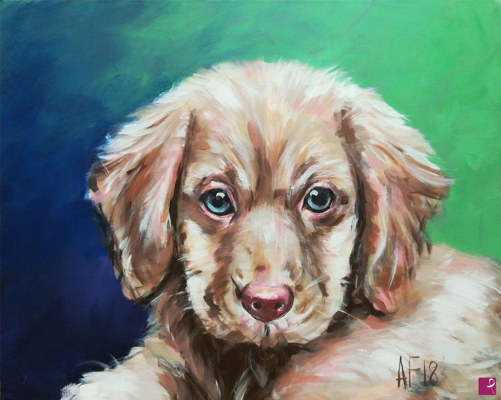 quadri in vendita online - Labrador puppy