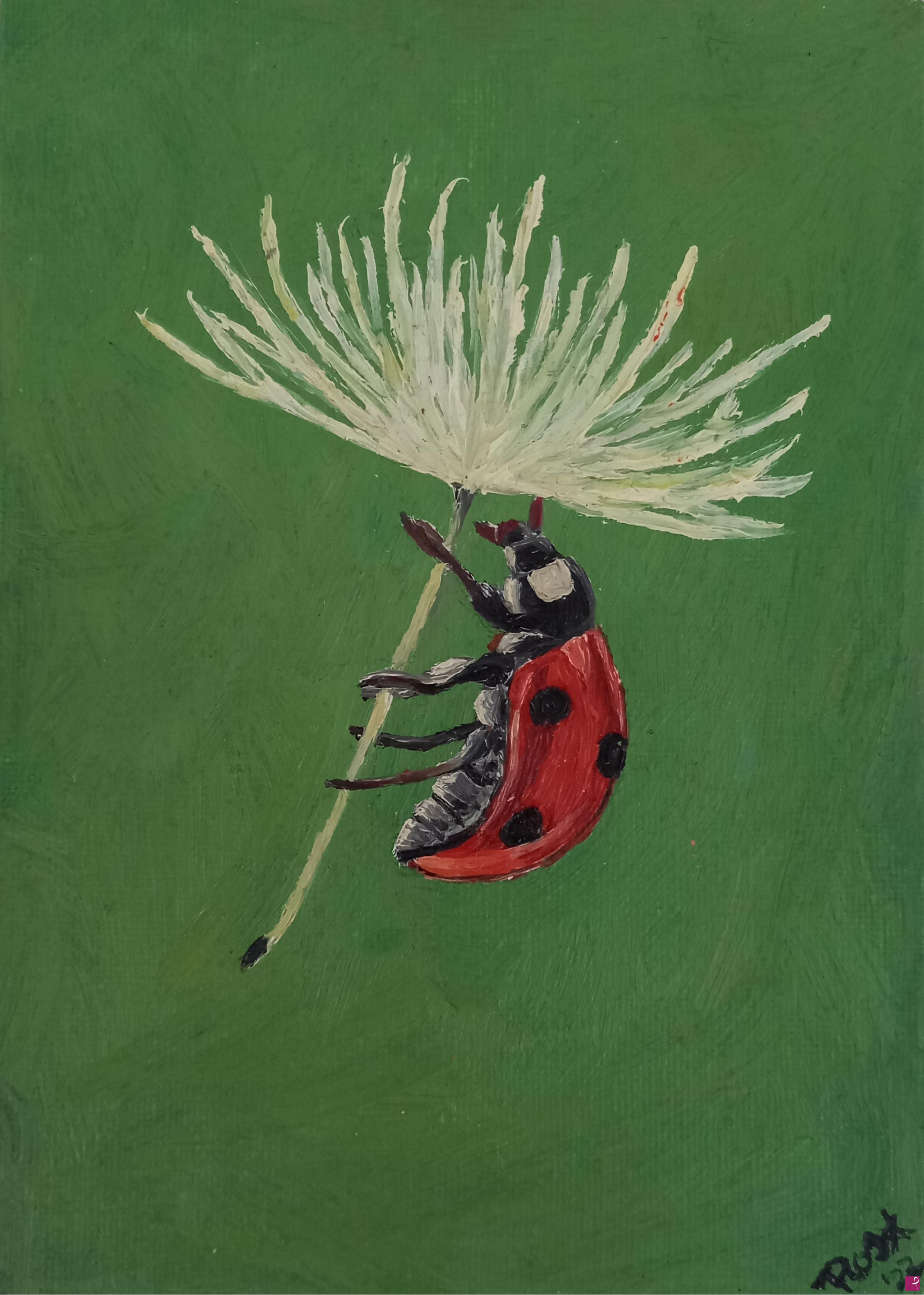 quadri in vendita online - Ladybug