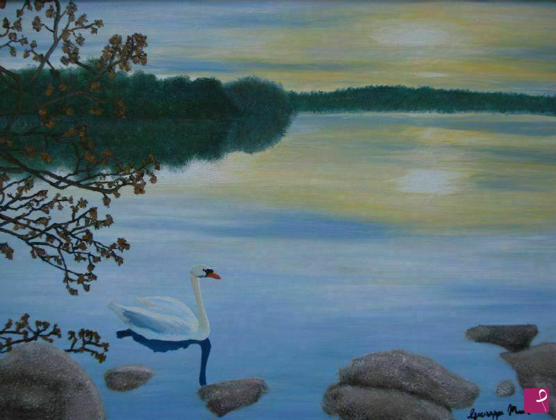 quadri in vendita online - lago con cigno