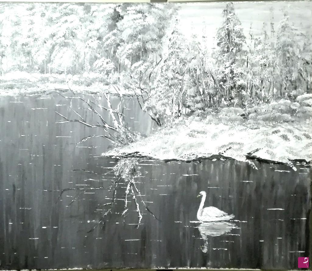 quadri in vendita online - Lago dei cigni 