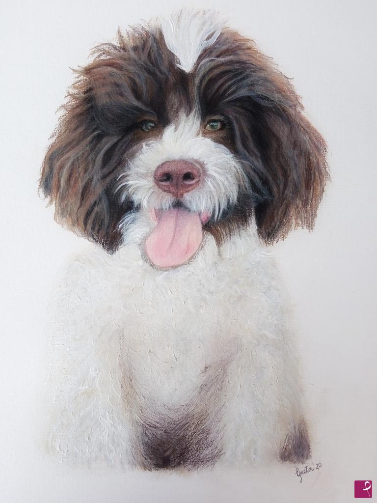 quadri in vendita online - Lagotto romagnolo