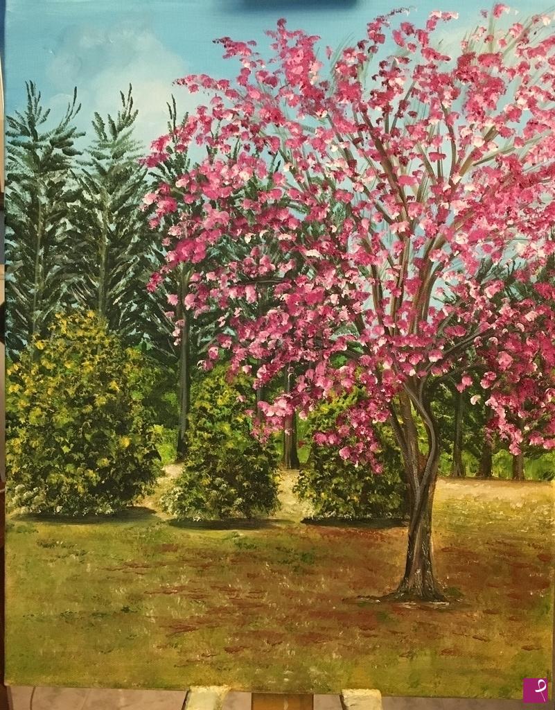 quadri in vendita online - L’albero di Giuda -Laconi -Sardegna 