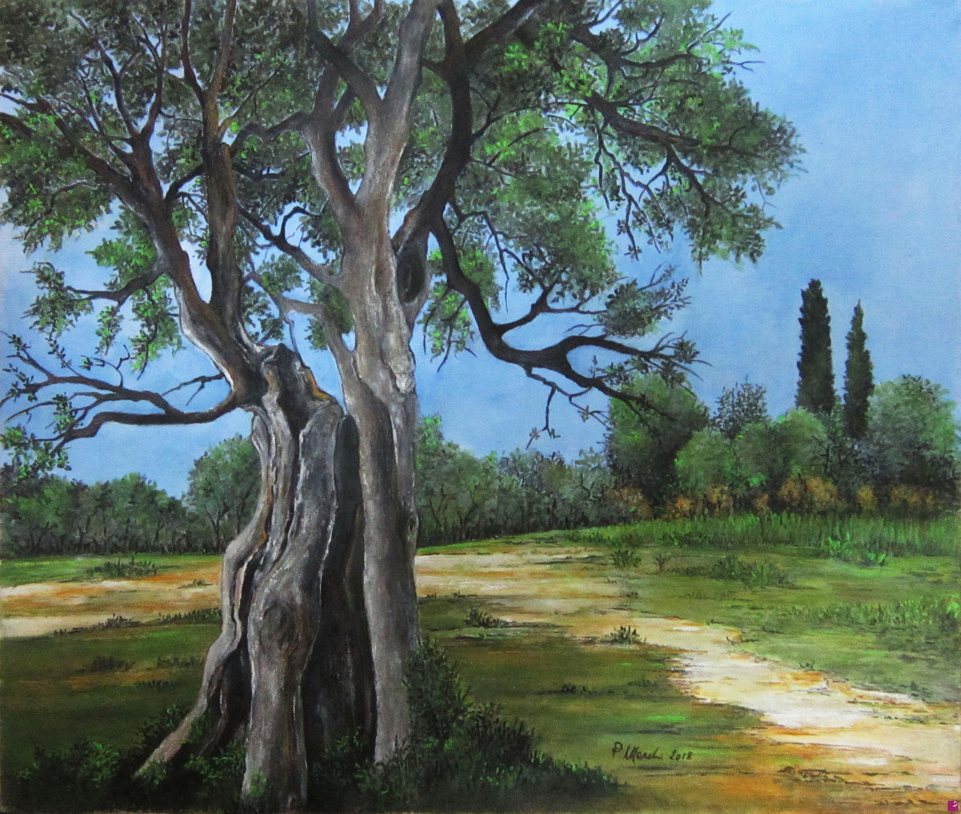 quadri in vendita online - L'Albero e il tempo