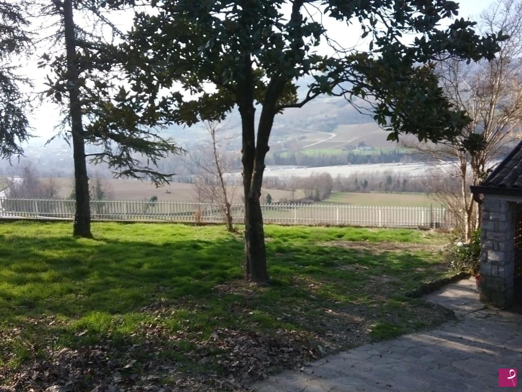 quadri in vendita online - L'albero magico