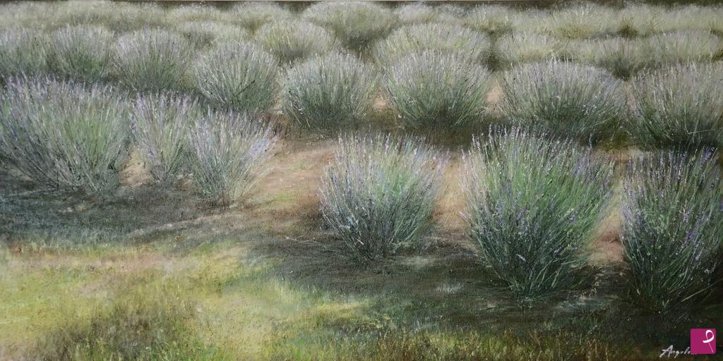 quadri in vendita online - Lavanda