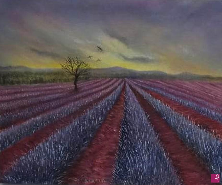 quadri in vendita online - lavanda  al   crepuscolo  40x50  olio   su  tela