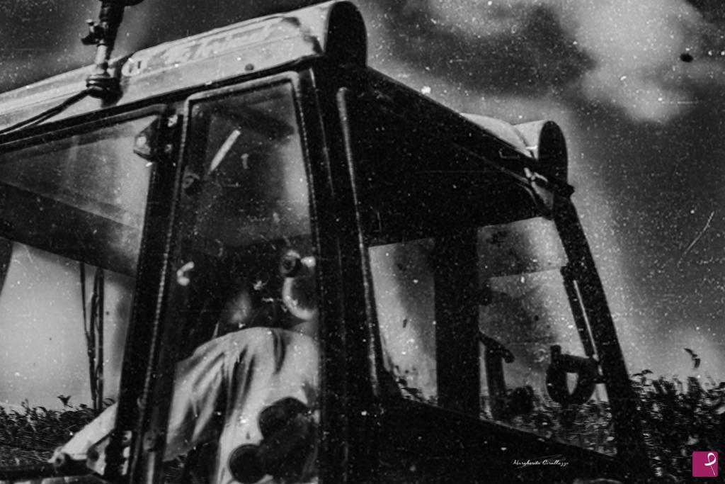 quadri in vendita online - "Lavoro Agricolo - Così come tratto la terra, tratto le persone. Me ne prendo amorevolmente cura"