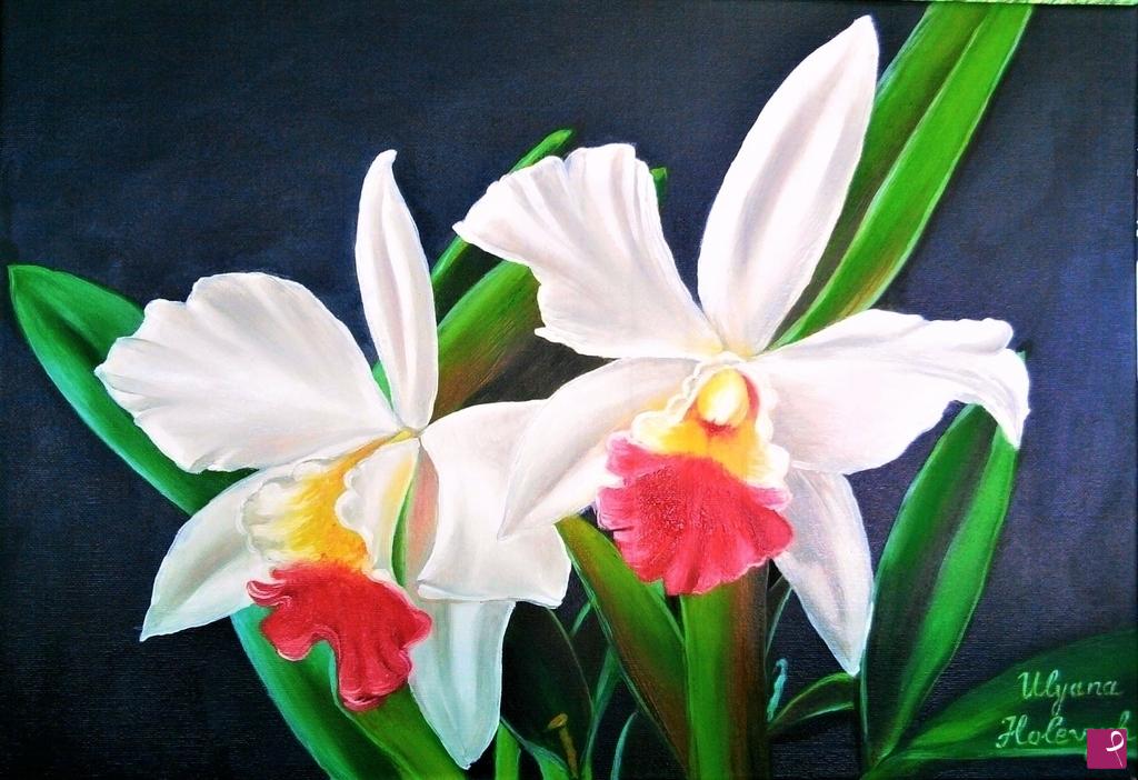 quadri in vendita online - Le orchidee