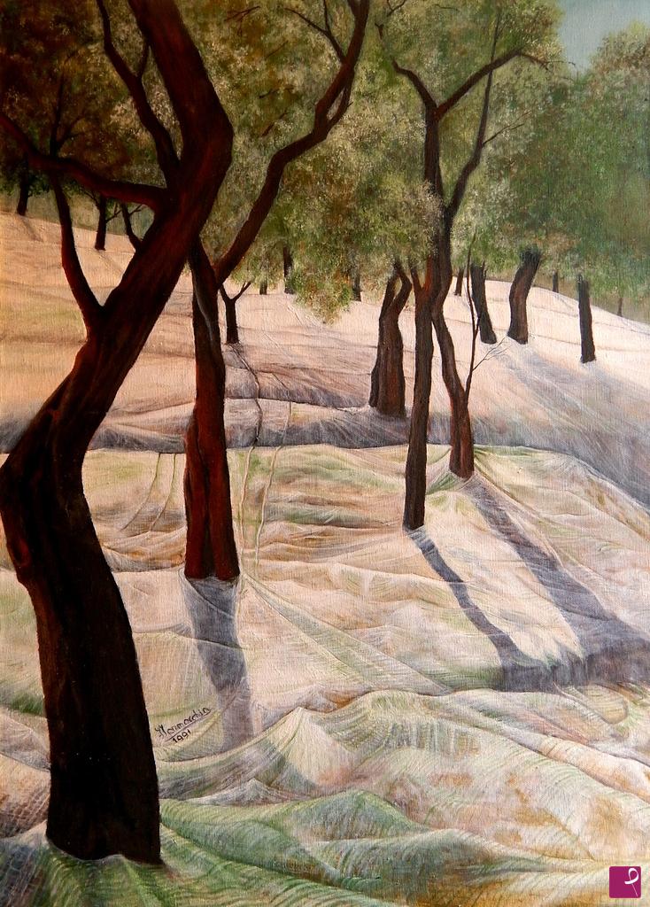 quadri in vendita online - le reti per le olive 1991