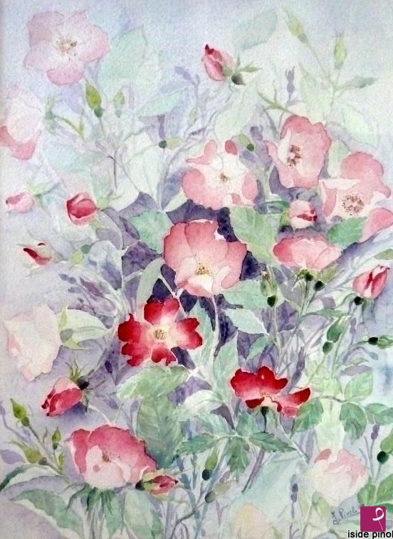 quadri in vendita online - Le roselline di maggio