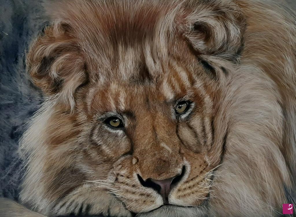 quadri in vendita online - "Leone d'Africa"