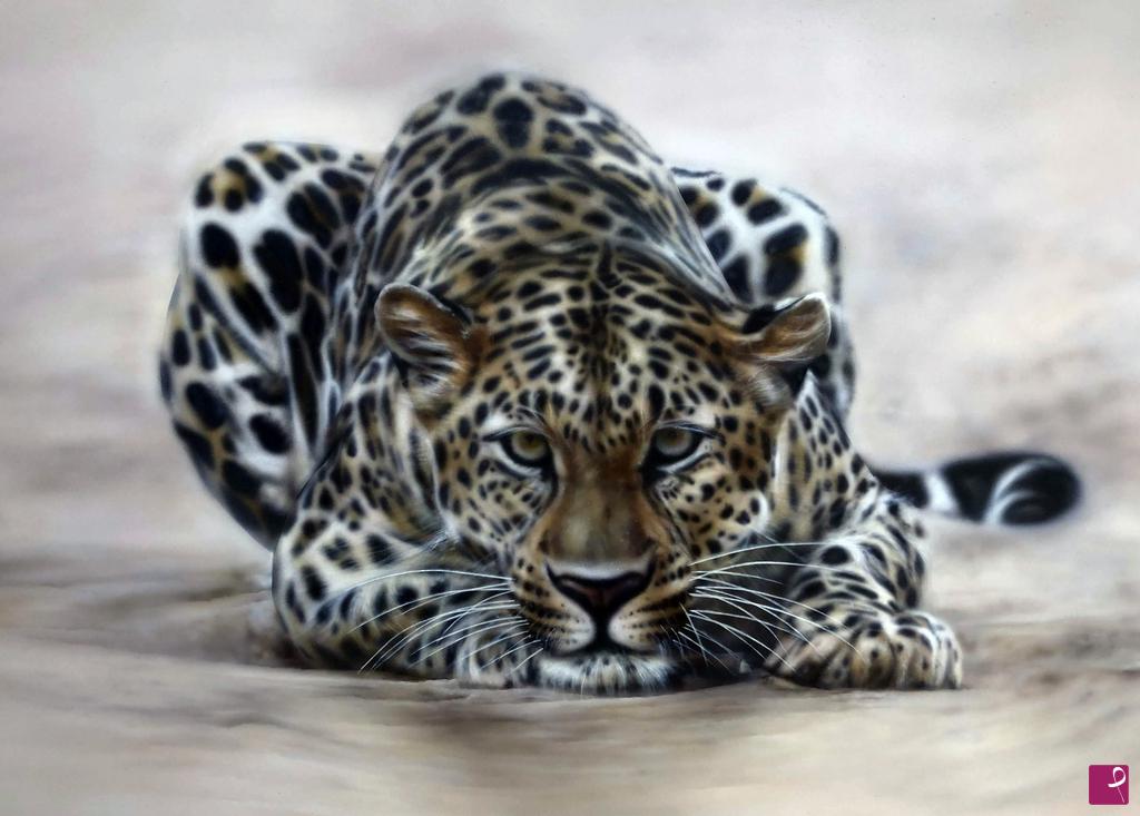 quadri in vendita online - Leopardo