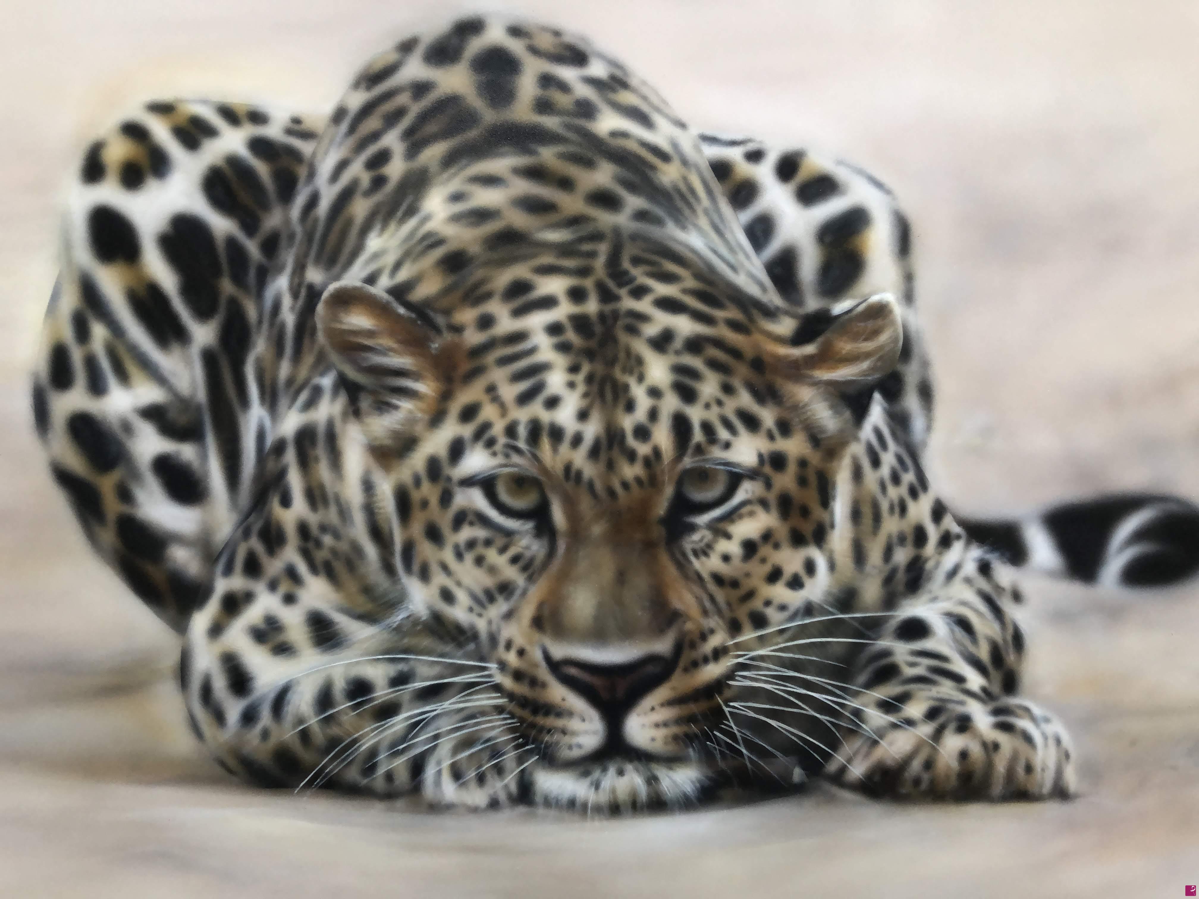 quadri in vendita online - Leopardo 2