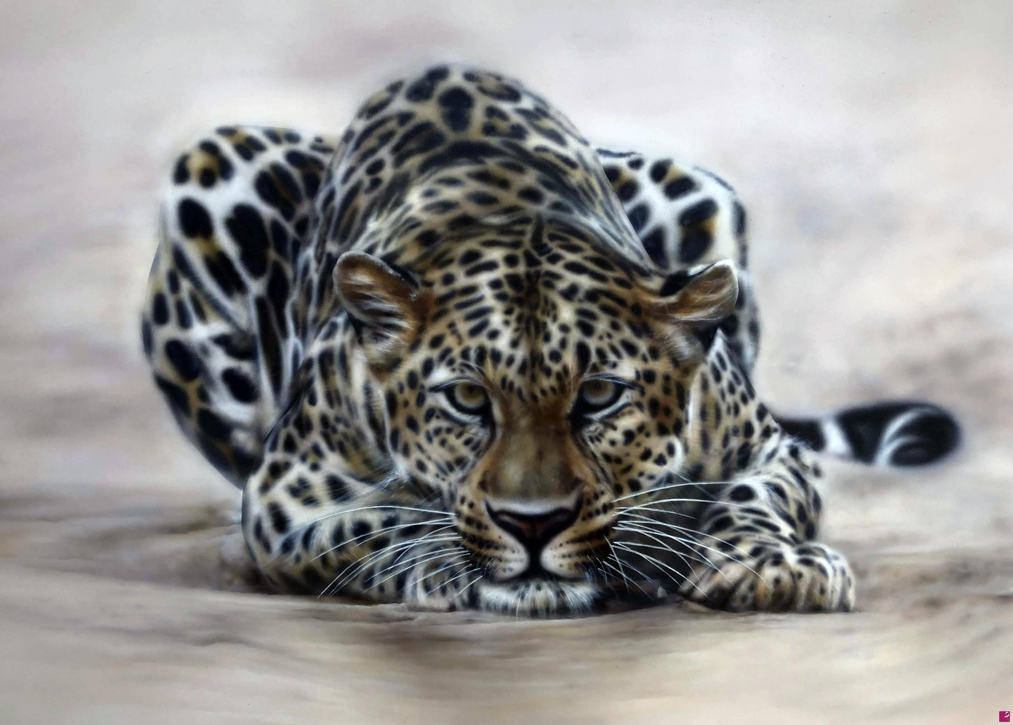 quadri in vendita online - Leopardo