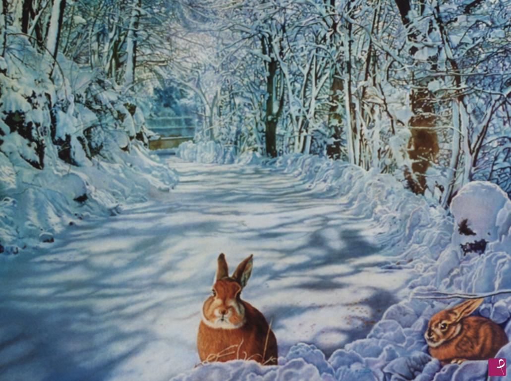 quadri in vendita online - Lepri sulla Sila innevata