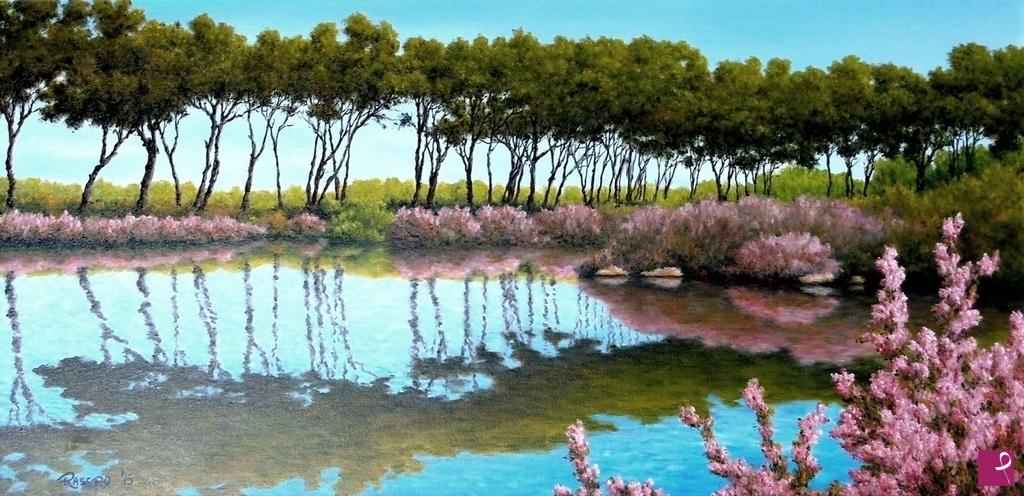 quadri in vendita online - L'Etang de Sainte Marguerite