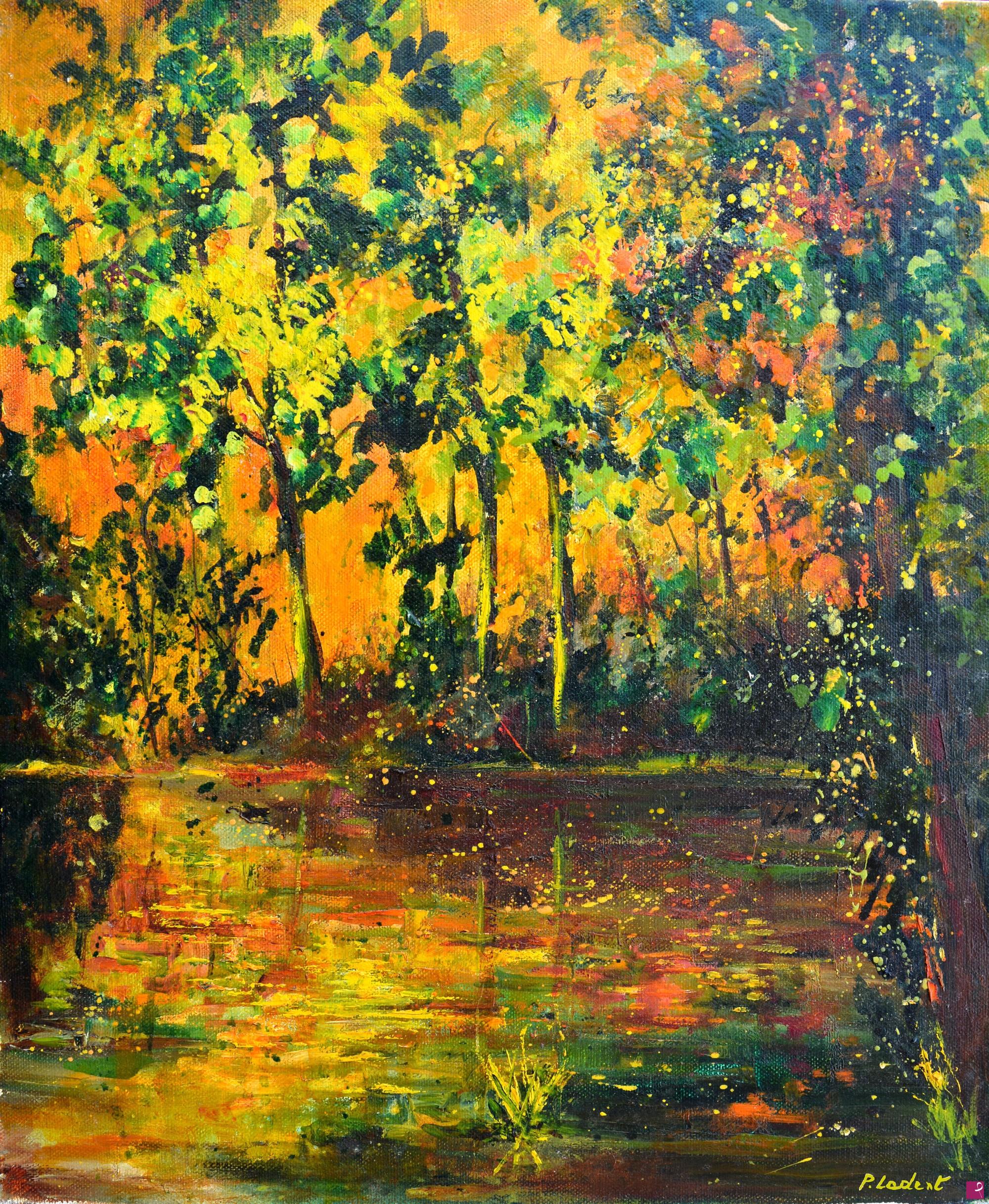 quadri in vendita online - Light on a pond