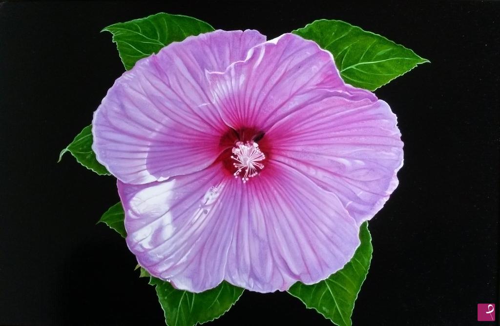 quadri in vendita online - "LILAC HIBISCUS"