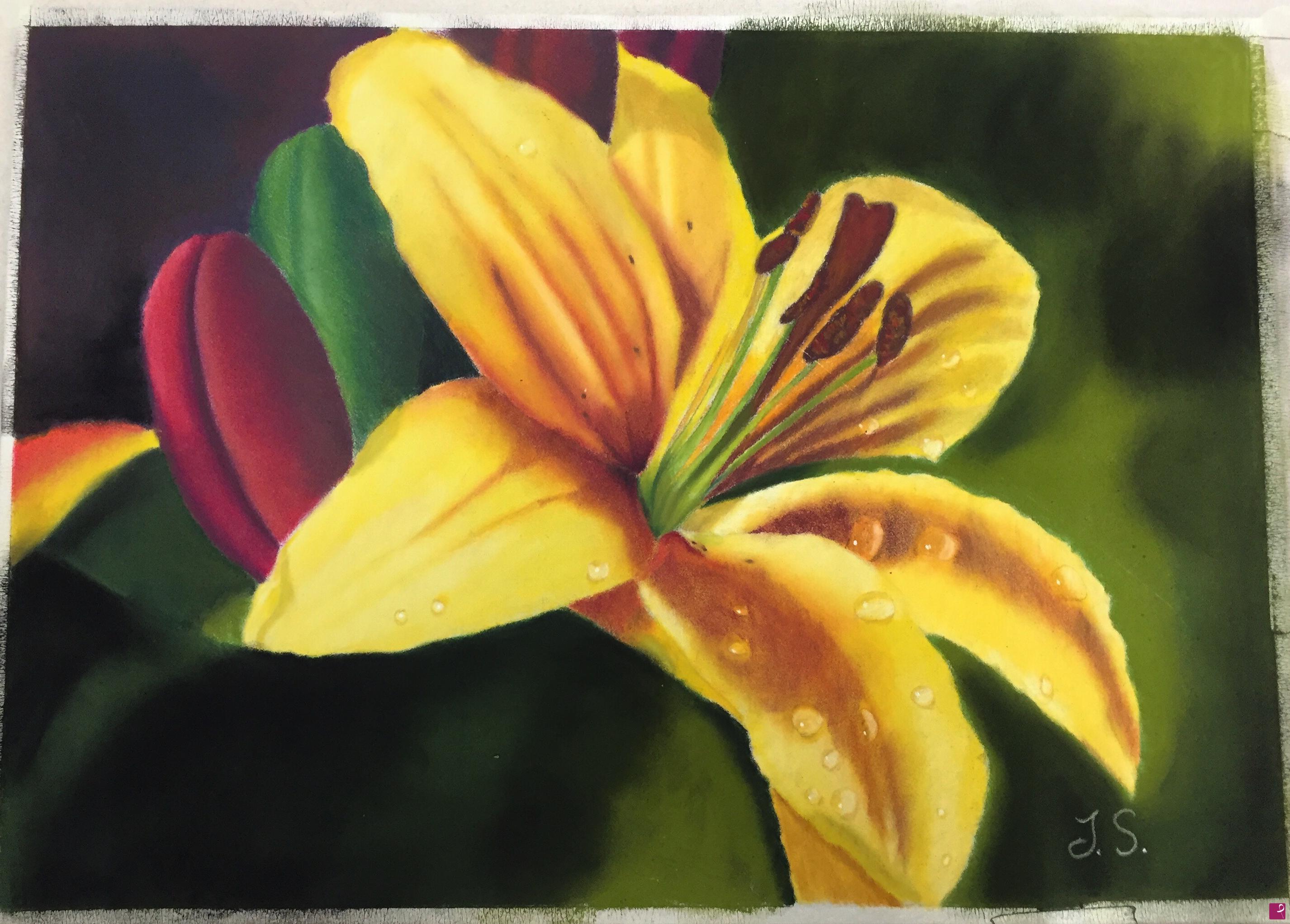 quadri in vendita online - Lilium